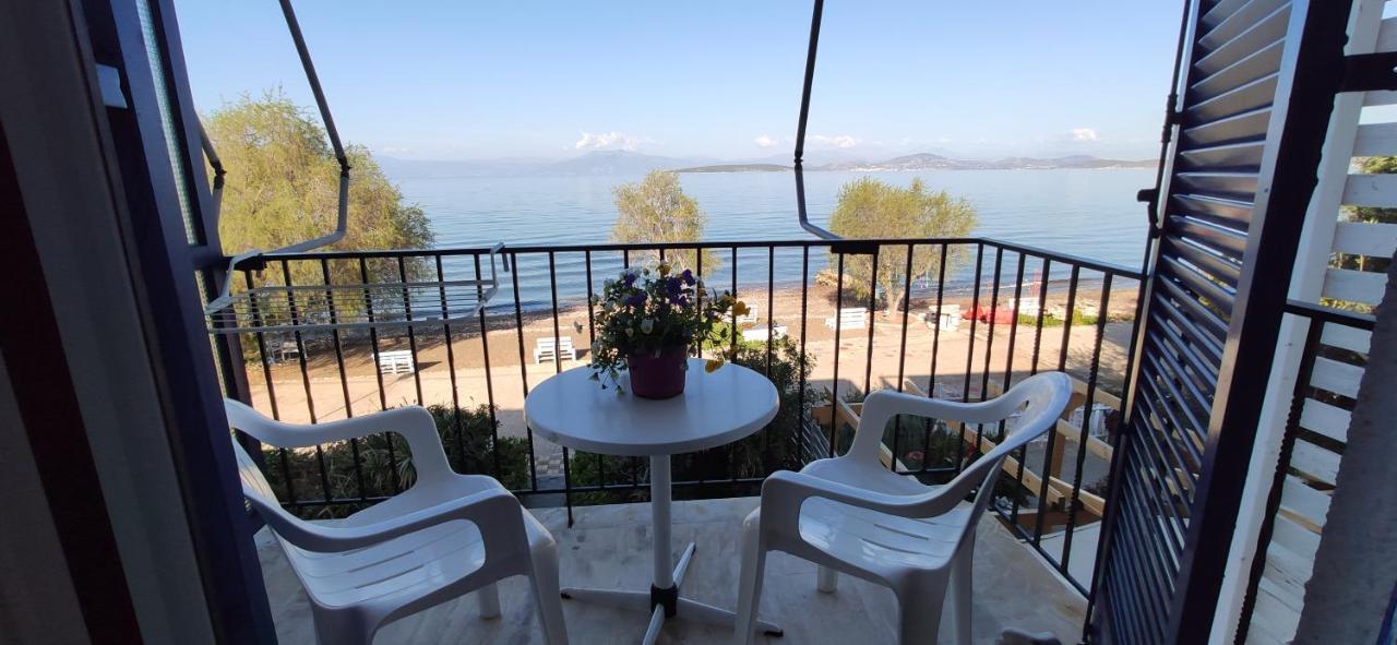 Paralia Irion Vikos Beach Apartments מראה חיצוני תמונה