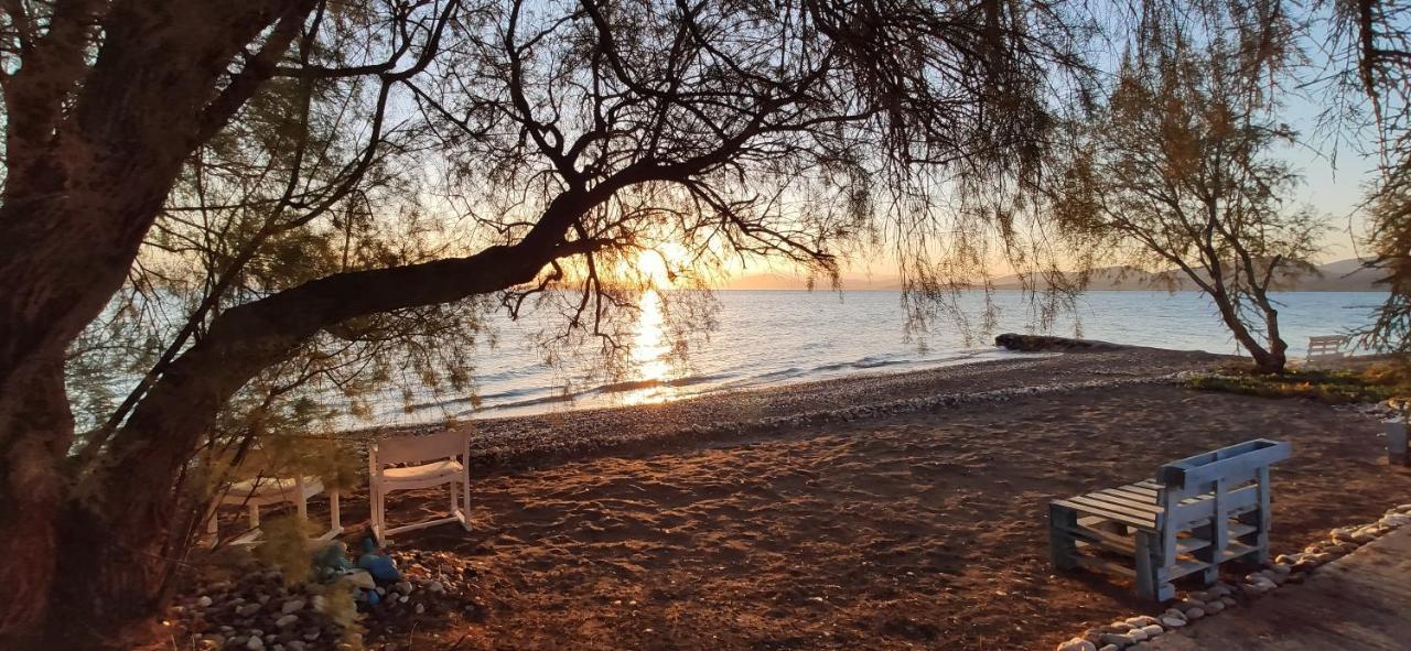 Paralia Irion Vikos Beach Apartments מראה חיצוני תמונה