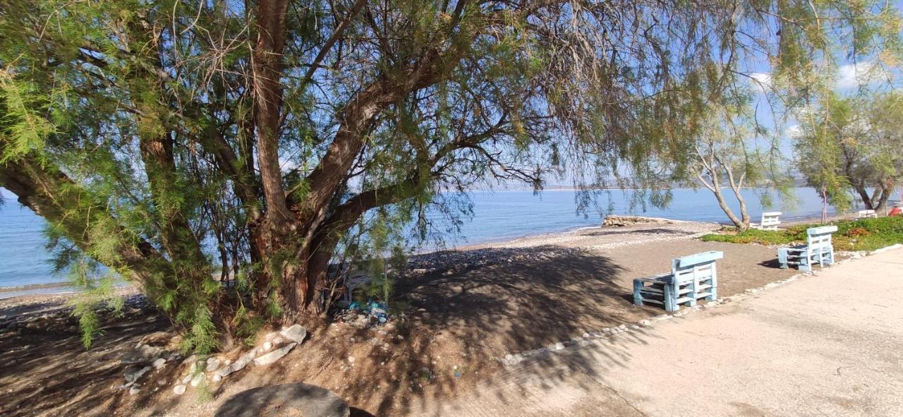 Paralia Irion Vikos Beach Apartments מראה חיצוני תמונה
