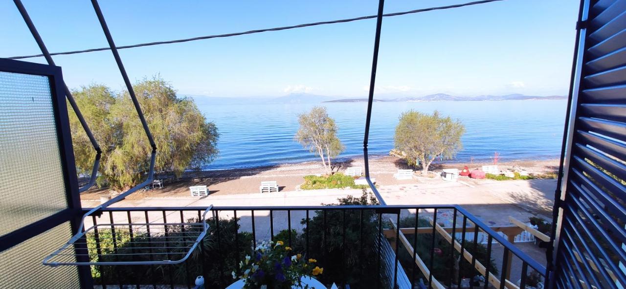 Paralia Irion Vikos Beach Apartments מראה חיצוני תמונה