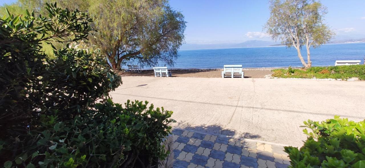 Paralia Irion Vikos Beach Apartments מראה חיצוני תמונה