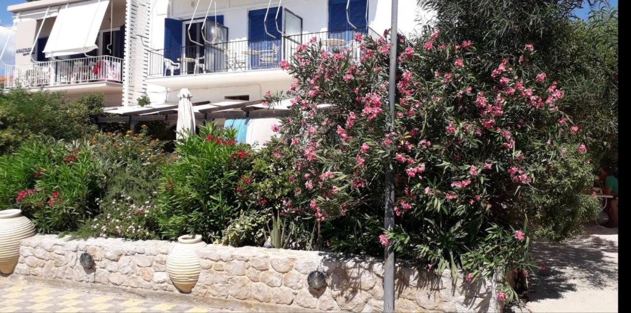 Paralia Irion Vikos Beach Apartments מראה חיצוני תמונה