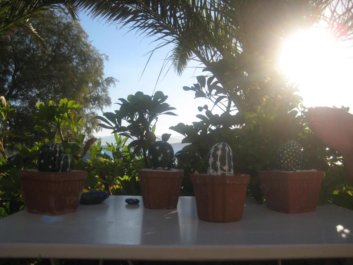 Paralia Irion Vikos Beach Apartments מראה חיצוני תמונה