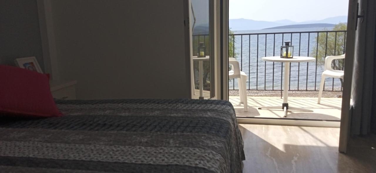 Paralia Irion Vikos Beach Apartments מראה חיצוני תמונה