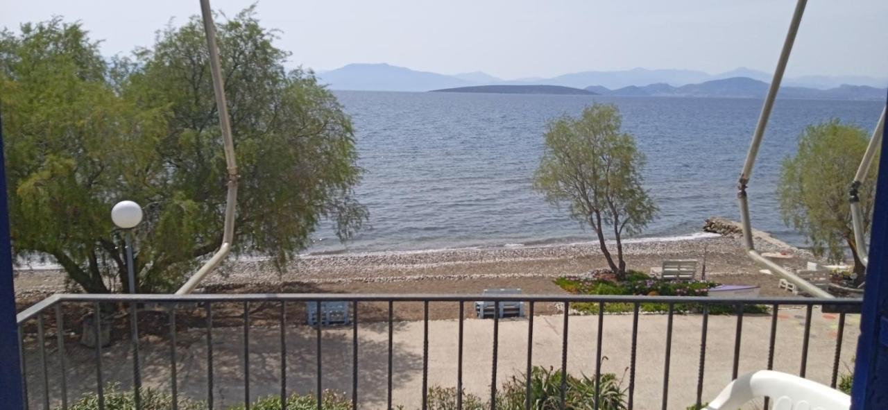 Paralia Irion Vikos Beach Apartments מראה חיצוני תמונה