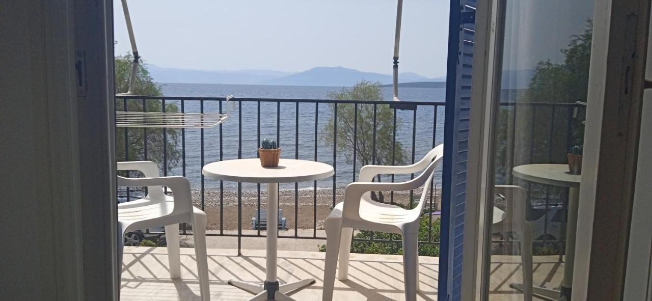 Paralia Irion Vikos Beach Apartments מראה חיצוני תמונה