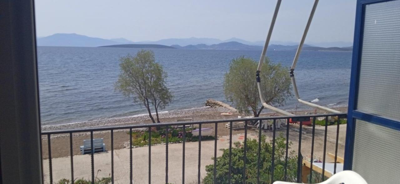Paralia Irion Vikos Beach Apartments מראה חיצוני תמונה