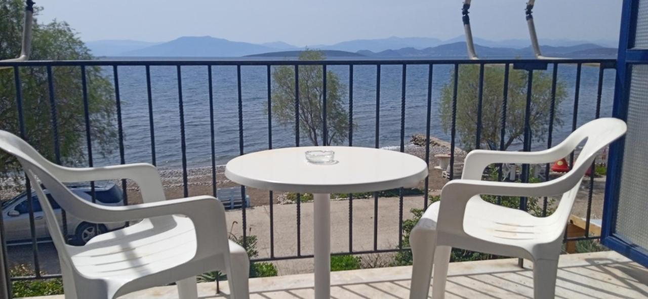 Paralia Irion Vikos Beach Apartments מראה חיצוני תמונה