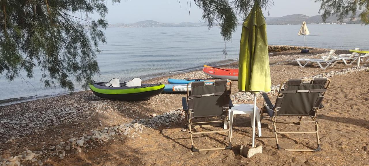 Paralia Irion Vikos Beach Apartments מראה חיצוני תמונה