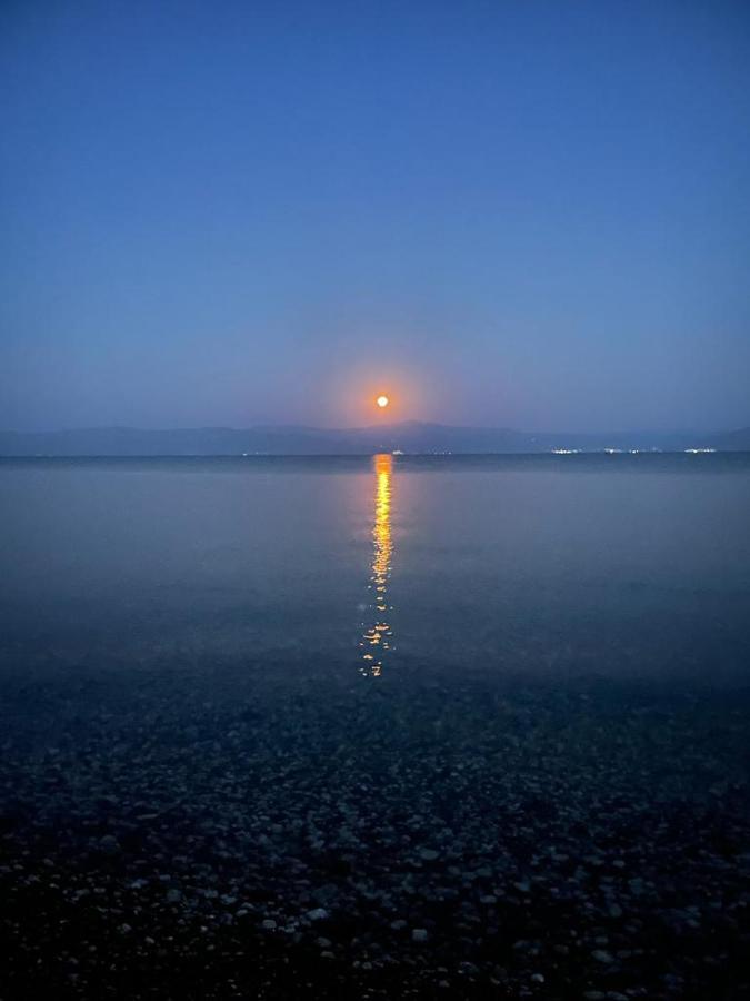 Paralia Irion Vikos Beach Apartments מראה חיצוני תמונה