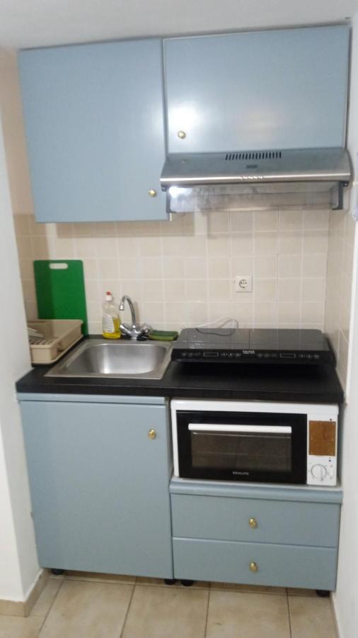 Paralia Irion Vikos Beach Apartments מראה חיצוני תמונה