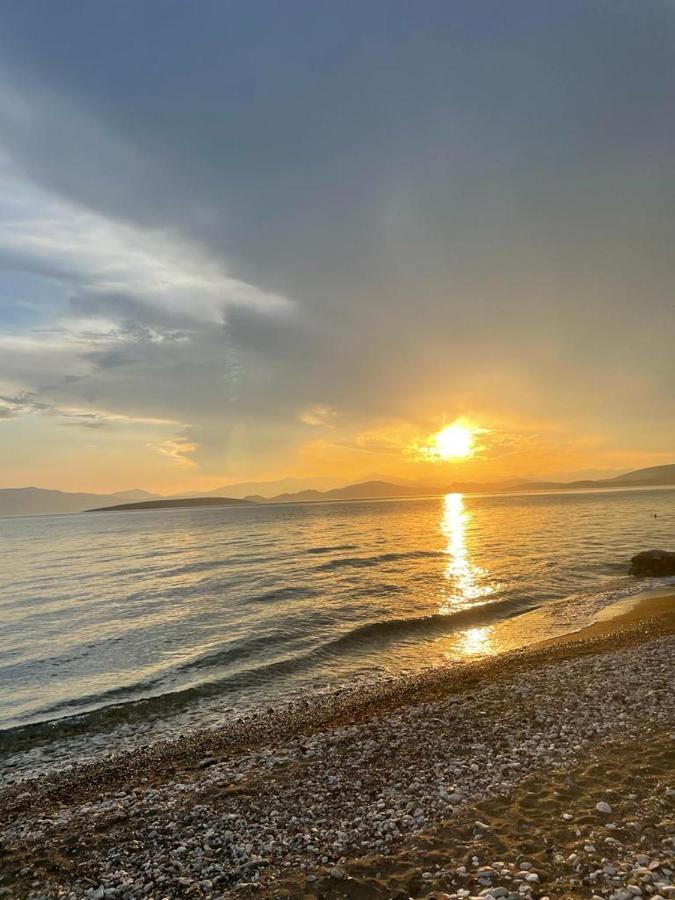 Paralia Irion Vikos Beach Apartments מראה חיצוני תמונה