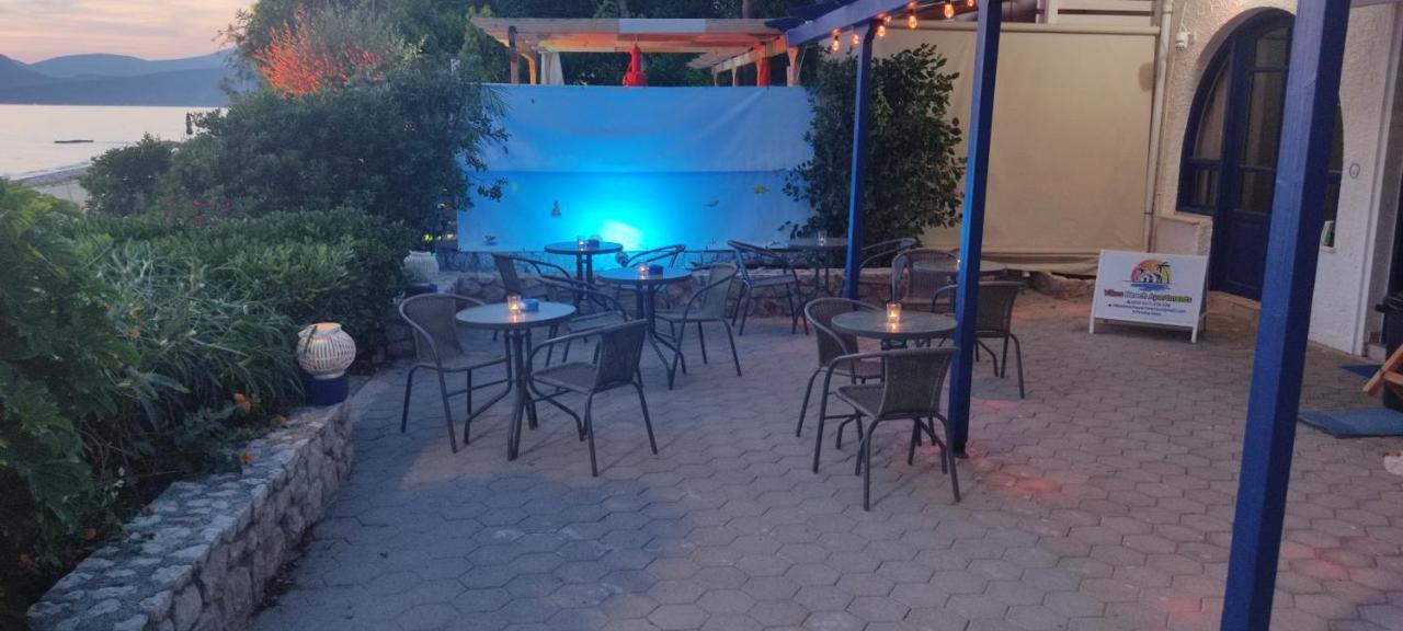 Paralia Irion Vikos Beach Apartments מראה חיצוני תמונה
