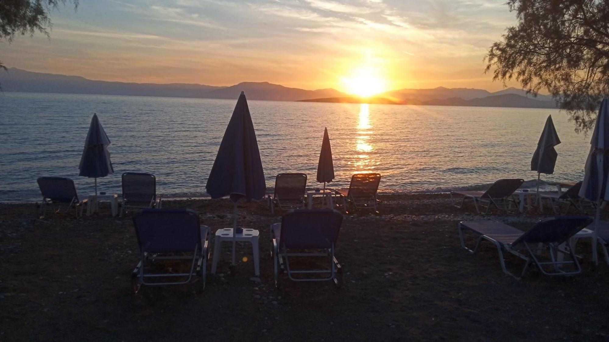 Paralia Irion Vikos Beach Apartments מראה חיצוני תמונה